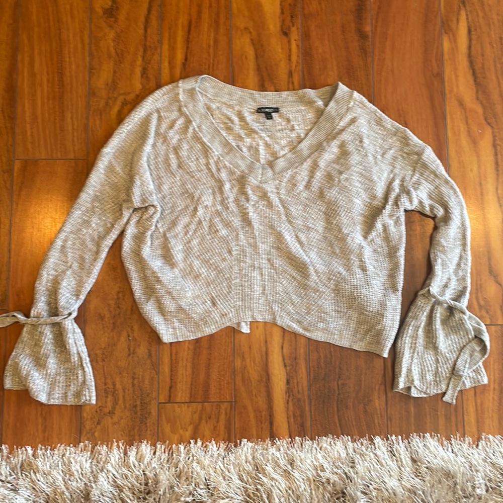 Express cropped sweater